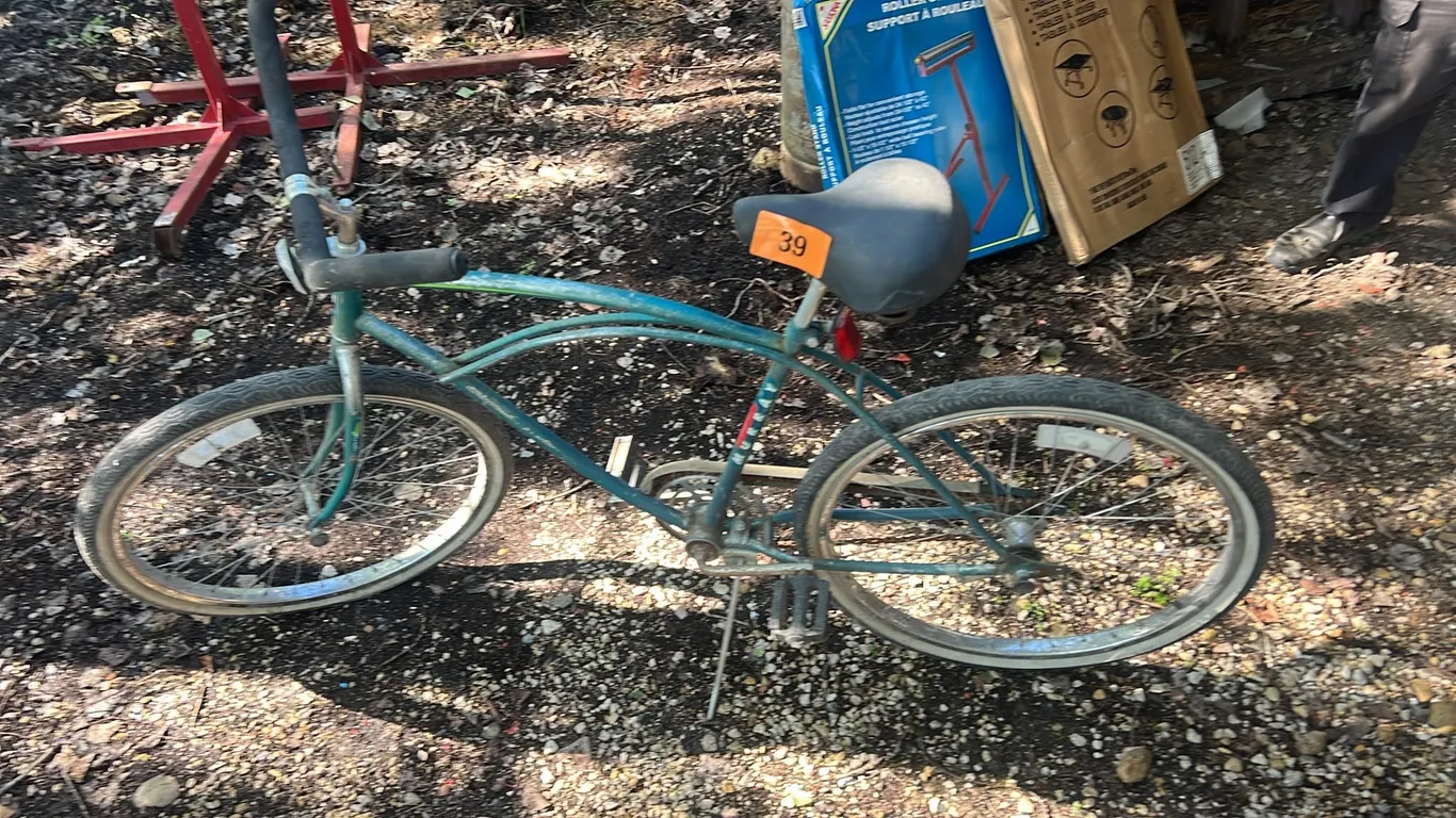Murray pedal bike