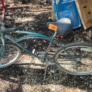 Murray pedal bike