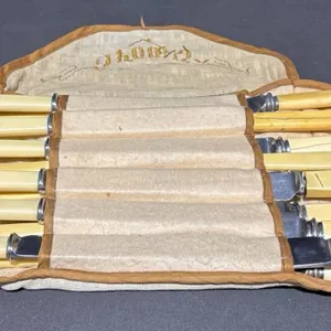 22 Piece Assorted Faux Ivory Handle Stainless Table Knives with Roll-Up Case