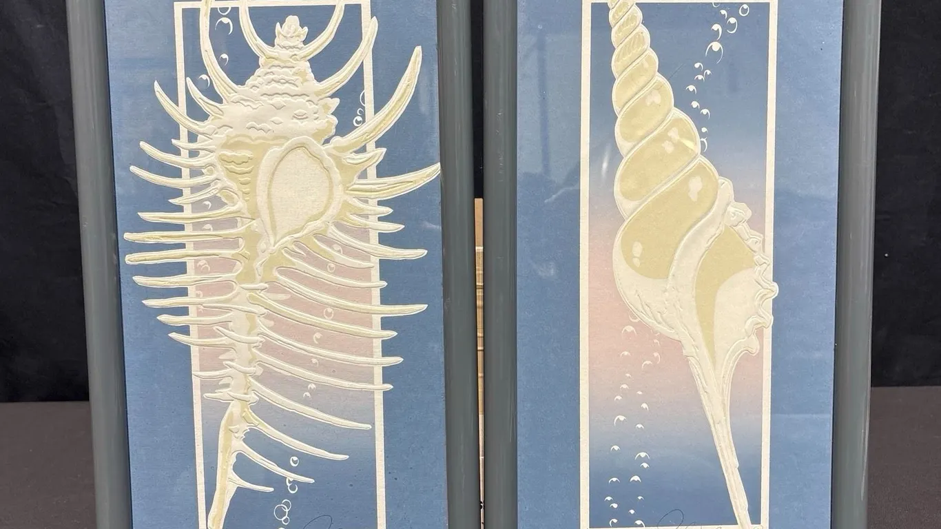 Framed Seashell Artworks
