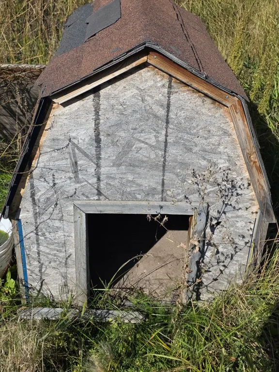 *OFFSITE* Doghouse – 40” tall
