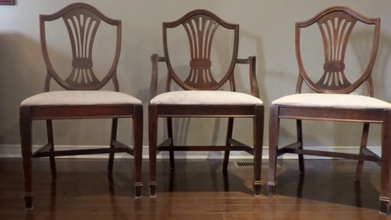 Shield-Back Dining Chairs