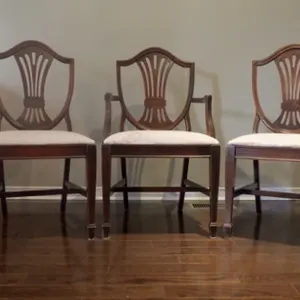 Shield-Back Dining Chairs