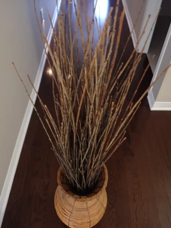 Woven Pencil Reed Floor Vase