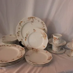 Porcelain China Dining Ware