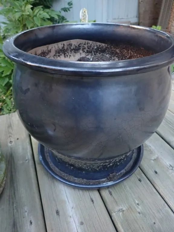 Black Ceramic Planter
