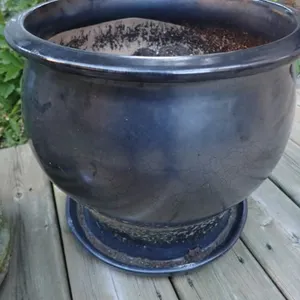 Black Ceramic Planter