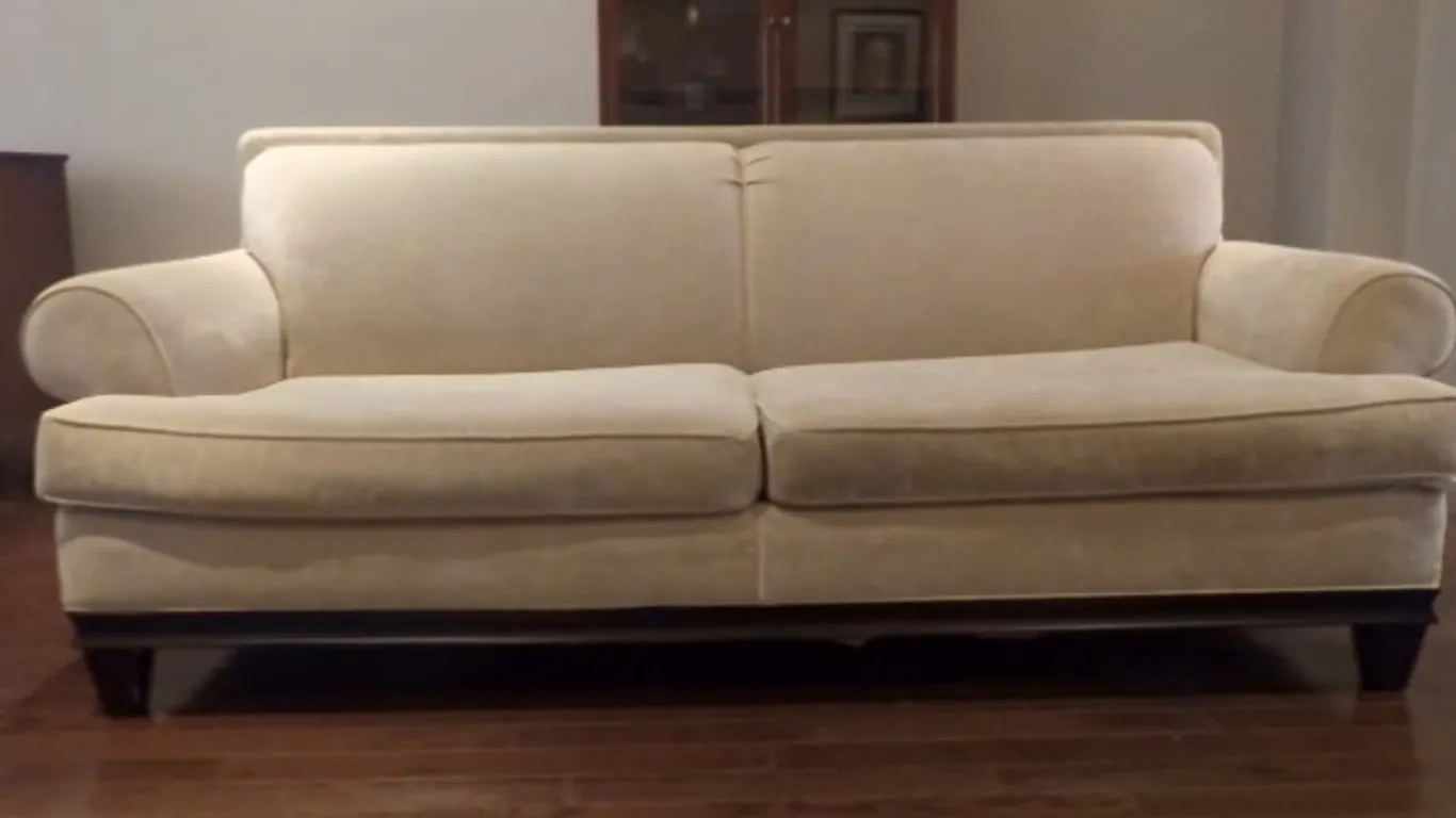 Two Cushion Upholstered Sofa