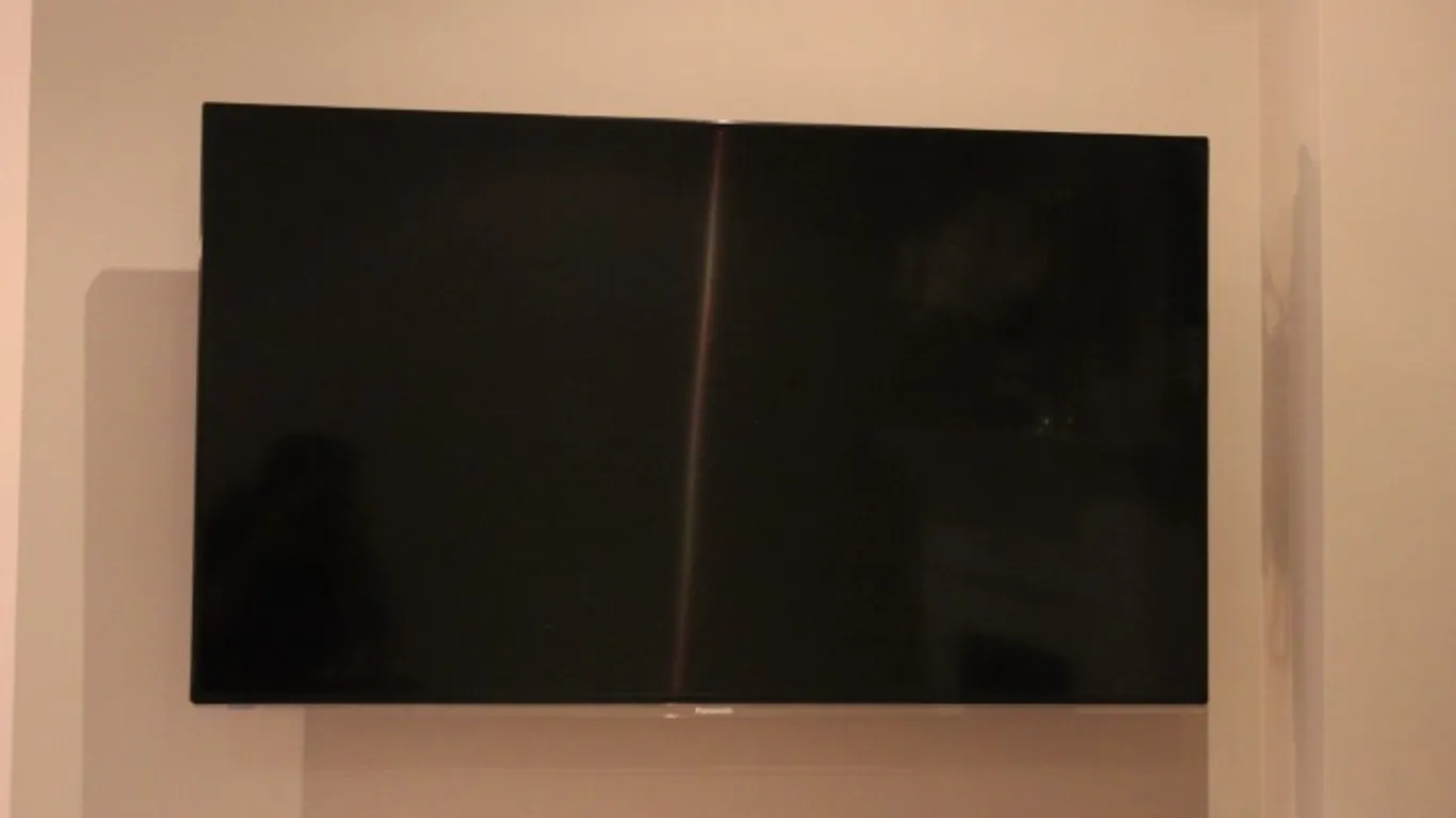 Panasonic Flat Screen TV