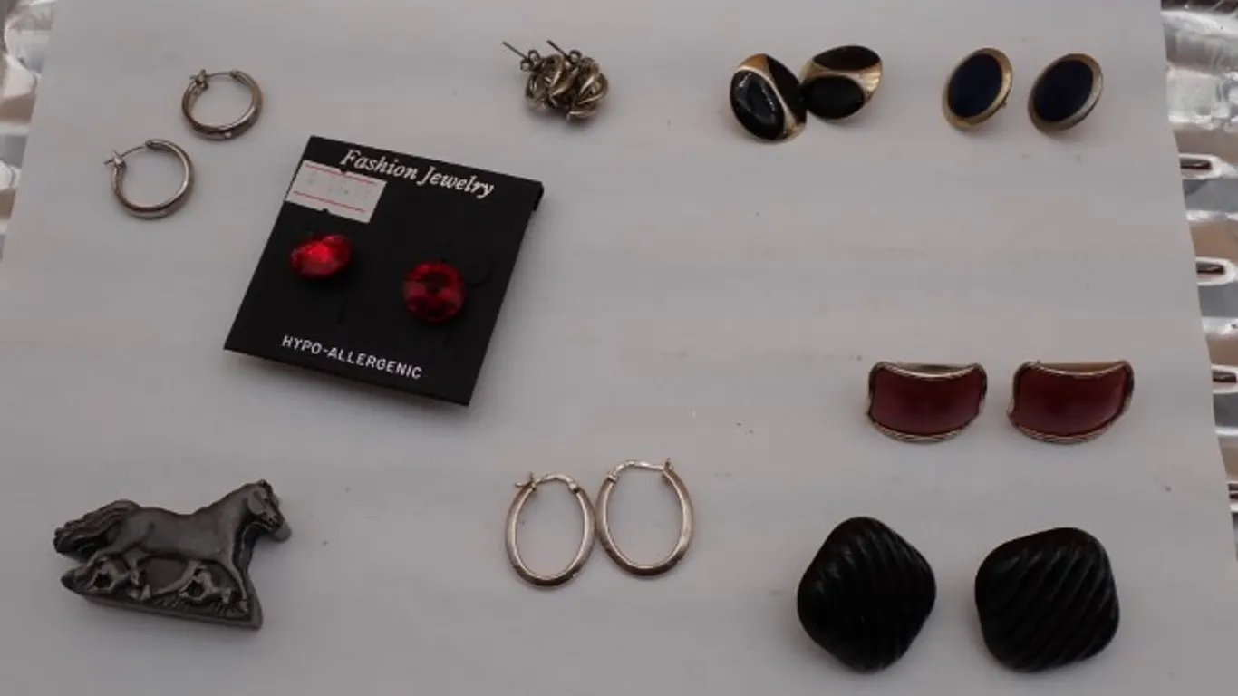 Earrings and Horse