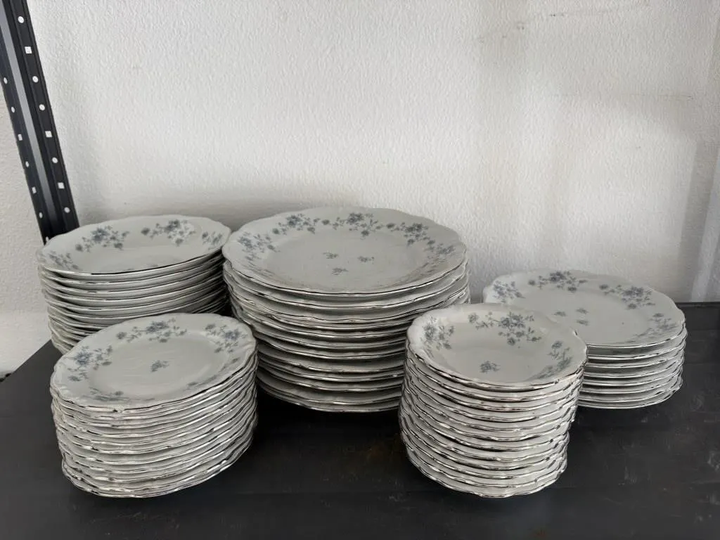 Johann Haviland blue garland china plates