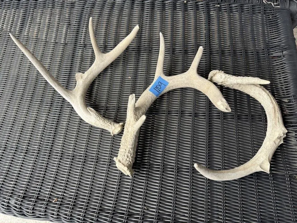 Deer sheds (3)