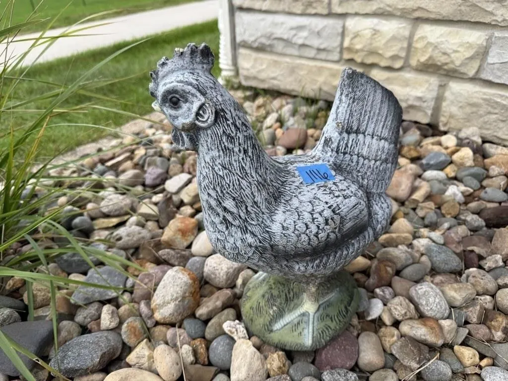 Concrete chicken