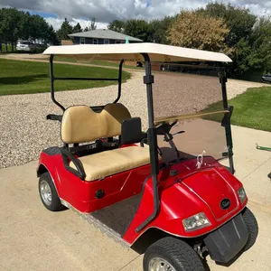 2008 Star golf cart, garage kept, canopy, mirrors, windshield, super clean, has (6) 8 volt batteries and factory charger, garage kept, works excellent
