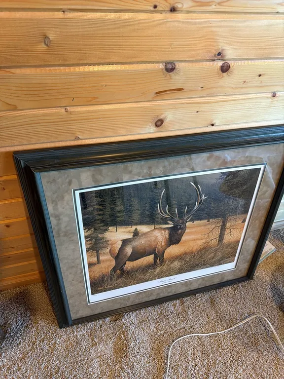 Elk picture