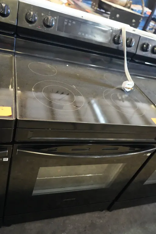 Samsung 4-Burner Range