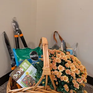 Fall Gardening