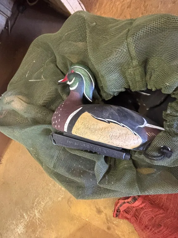 (12) Snap- Lock Wood Duck Decoys with Mesh Bag