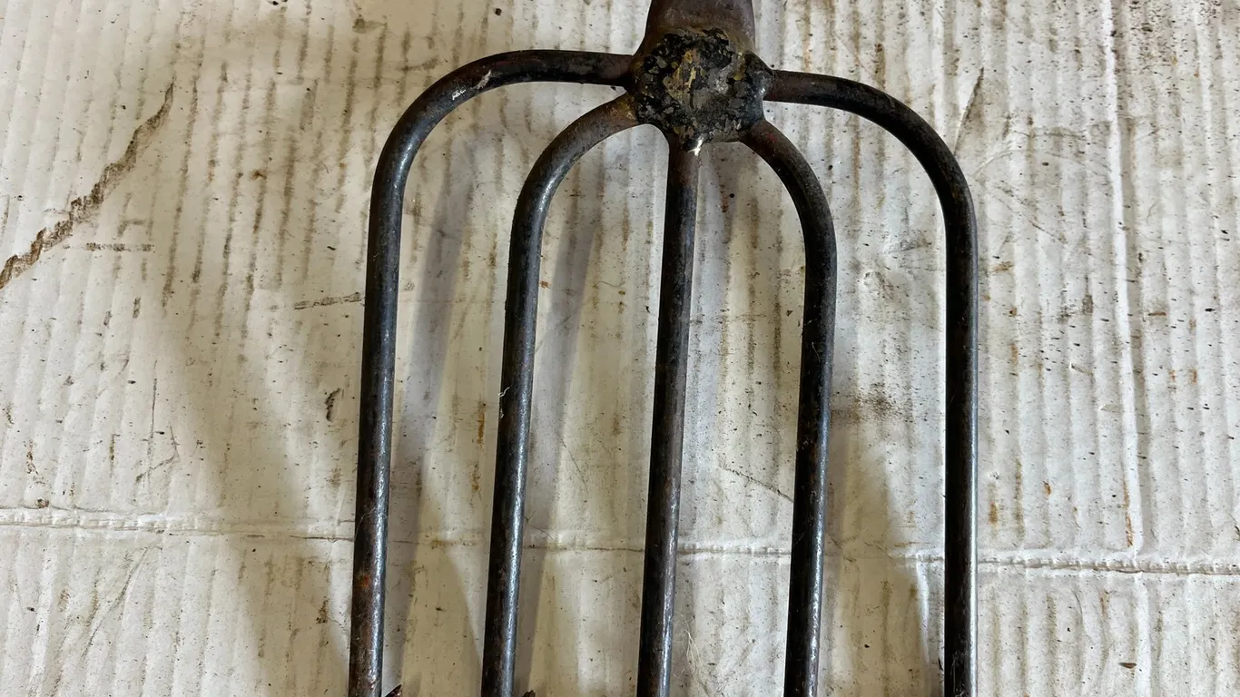 Fish Spear