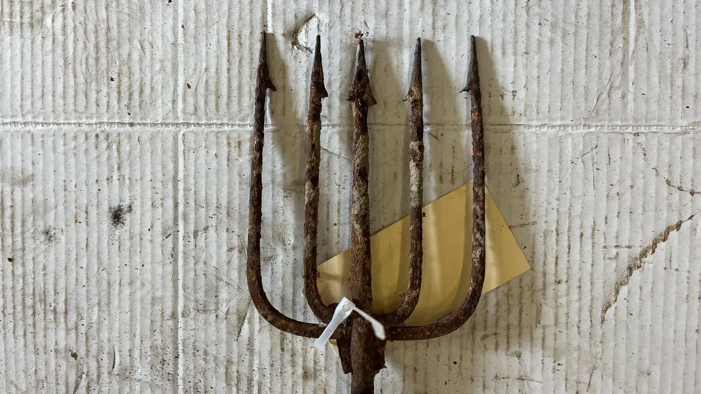 Fish Spear