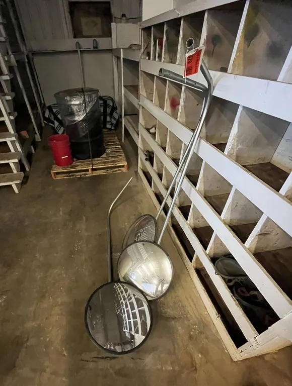 (3) Hanging Dome Mirrors