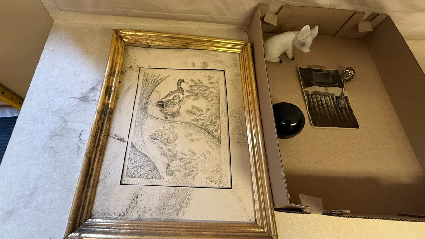 Figurines, Gold Framed Art, and Disk