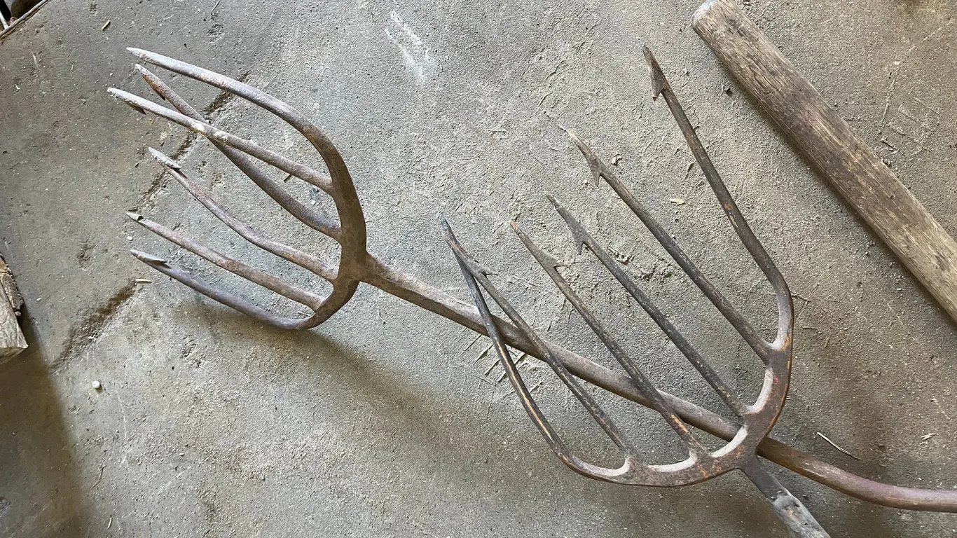 (3) Fish Spear