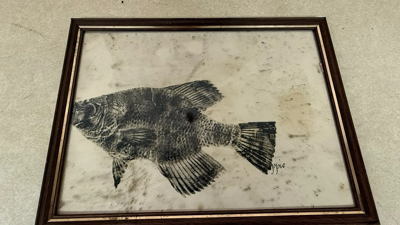 Fish Painting/ Picture in Frane