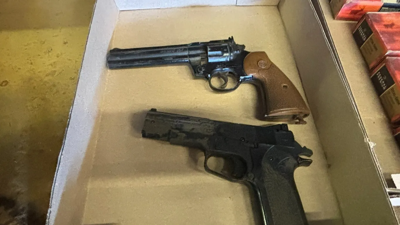 (2) CO2 Pistol Replicas