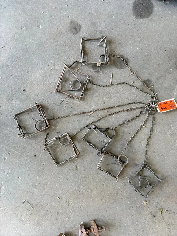 (7) Coni Bear Traps