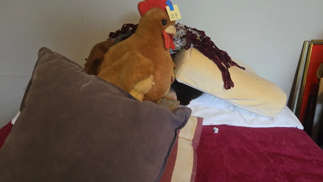 Assorted pillows and soft goods