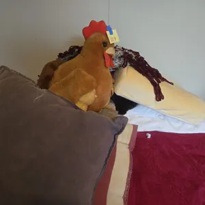 Assorted pillows and soft goods
