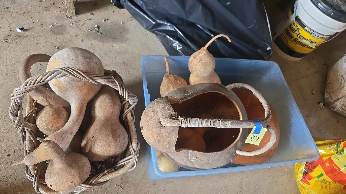 Assorted garden gourds for decoration