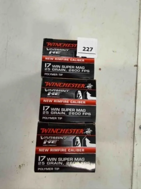 Winchester 17 Win Super Mag; 25gr; Polymer Tip