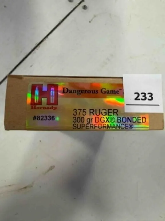 Hornady 375 Ruger ammo; 300gr; DGS; 20 ct.