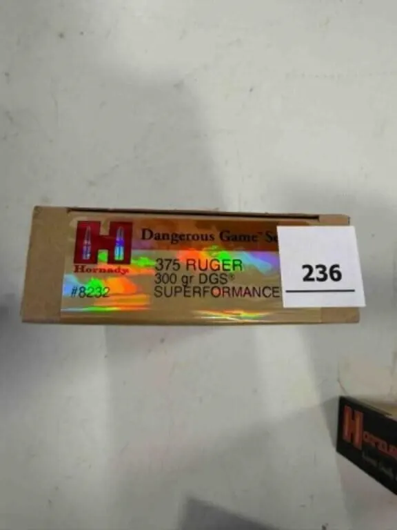 Hornady 375 Ruger ammo; 300gr; DGS; 20 ct.