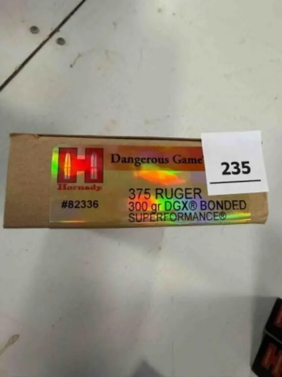 Hornady 375 Ruger ammo; 300gr; DGS; 20 ct.