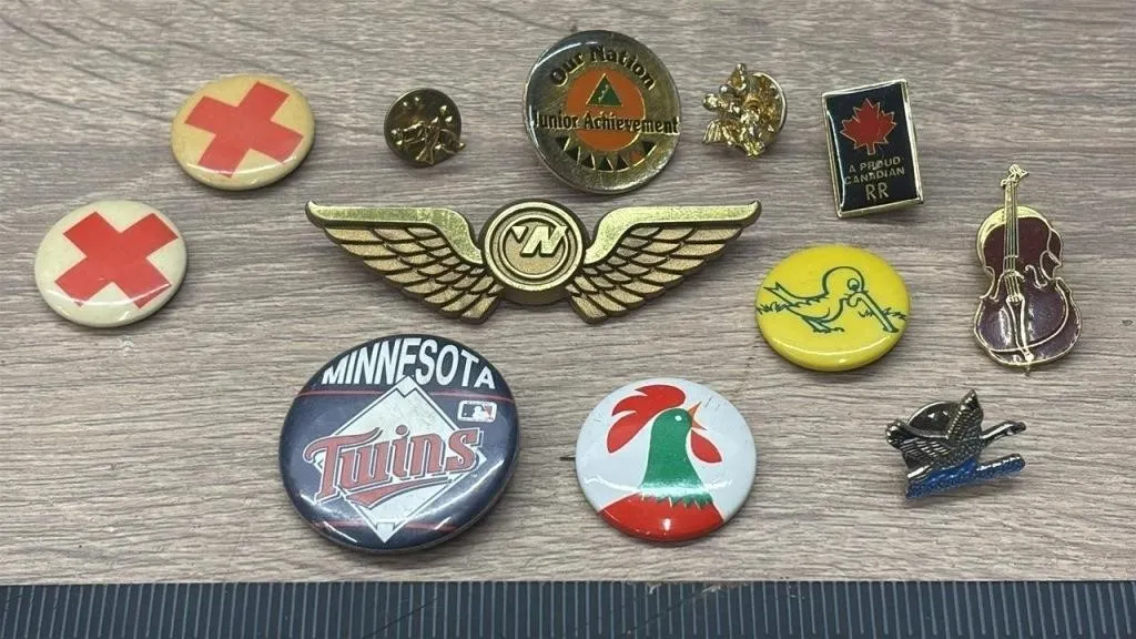 12 Asst. Pins.*DC