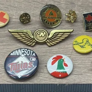12 Asst. Pins.*DC