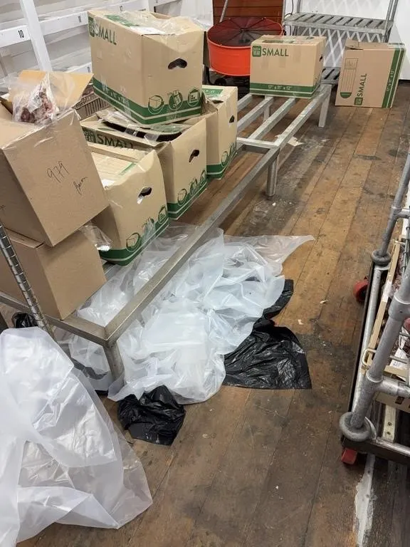 (2) Aluminum Stands