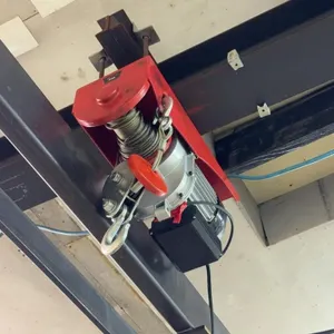 1 Ton Remote Electric Hoist