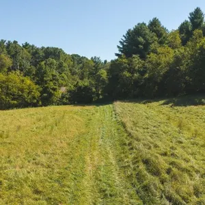 +/- 95.99 acres