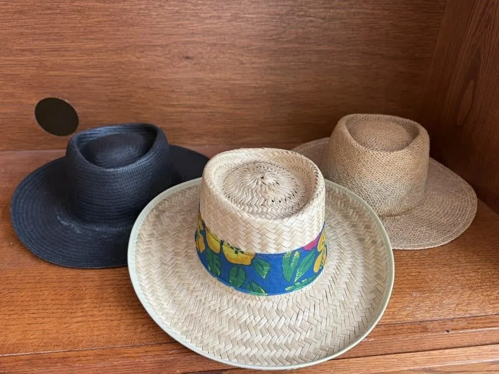 Brimmed sun hats (3)