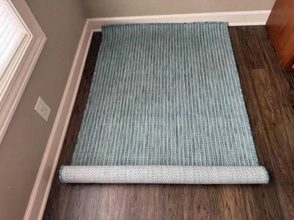 Carmel indoor/outdoor rug