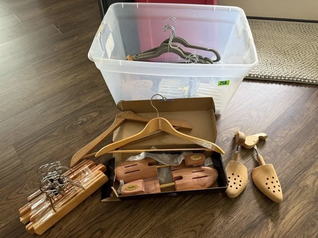 Storage tote, clothing hangers, shoe stretchers