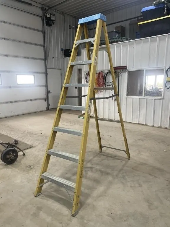 8' Pro Climb Ladder