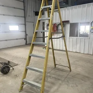 8' Pro Climb Ladder