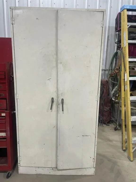 Metal Locker W/ Shelves