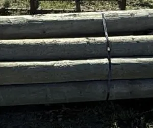 Bundle of 5"-7" x 9'-12' Treated Blunt Posts