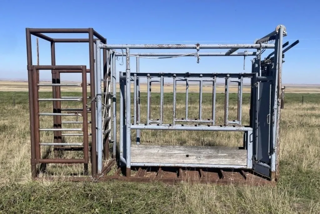 Cattle Squeeze W/ Rear Extension Cage